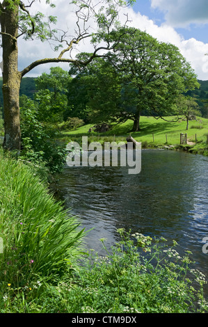 Im Sommer über den Fluss Rothay in der Nähe des Ambleside Cumbria Lake District National Park England Großbritannien GB Großbritannien Stockfoto