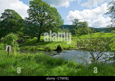 Im Sommer über den Fluss Rothay in der Nähe des Ambleside Cumbria Lake District National Park England Großbritannien GB Großbritannien Stockfoto