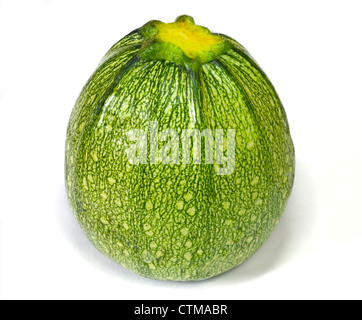 Globus oder runde Zucchini (Zucchini) Stockfoto