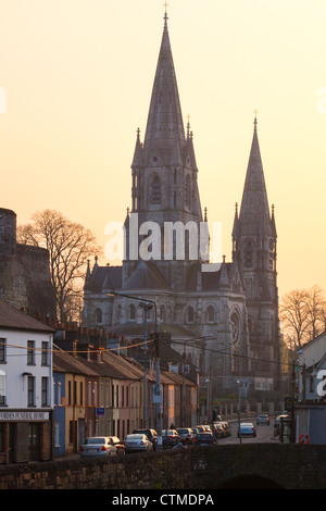 St. Finbarr Kathedrale, Cork City, Irland Stockfoto