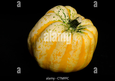 Pumpkin Kürbis - Studio mit einem schwarzen Hintergrund gedreht. Dieses Bild ist eine aus einer Reihe von drei ähnliche Winter Kürbis Bilder. Stockfoto