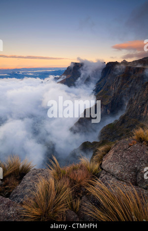 Amphitheater mit Nebel in der Abenddämmerung, Drakensberg, Südafrika Stockfoto