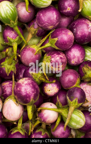 Thai Apfel Auberginen, wird allgemein für Currys verwendet. Foto aufgenommen am Pasar Siti Khadijah, Kota Bharu, malaysia Stockfoto