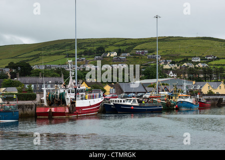 Angelboote/Fischerboote im Hafen von Dingle Stadt. Dingle Halbinsel, Land Kerry, Irland. Stockfoto