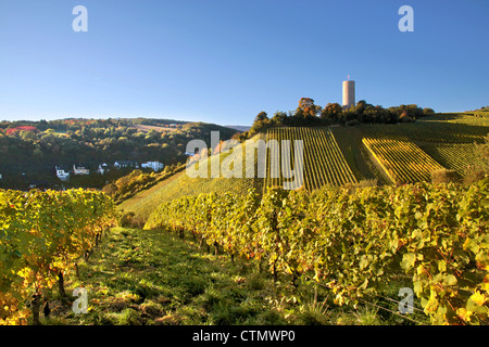 Schloss Scharfstein (1160 um 1260) in Kiedrich, Rheingau, Hessen, Deutschland Stockfoto