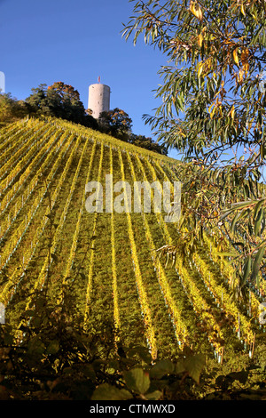 Schloss Scharfstein (1160 um 1260) in Kiedrich, Rheingau, Hessen, Deutschland Stockfoto