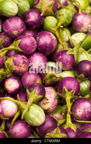 Thai Apfel Auberginen, wird allgemein für Currys verwendet. Foto aufgenommen am Pasar Siti Khadijah, Kota Bharu, malaysia Stockfoto