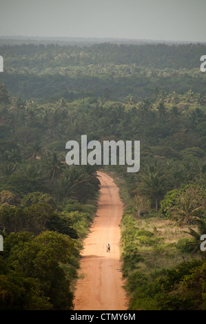 Straße durch Dschungel, Zavora, Mosambik Stockfoto