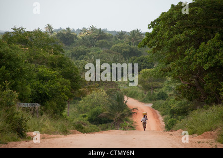 Straße durch Dschungel, Zavora, Mosambik Stockfoto