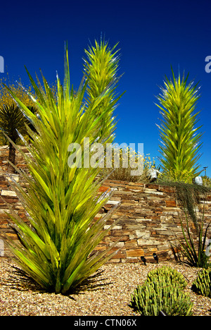 Dale Chihuly Glas Skulpturen Desert Botanical Garden Phoenix AZ Stockfoto