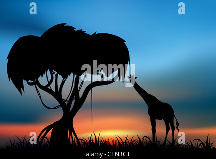 Giraffe bei Sonnenuntergang in der afrikanischen marsh Stockfoto