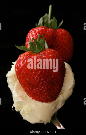 Nach Hause angebauten Erdbeeren auf einen Löffel kornische Gegeronnene Creme Stockfoto