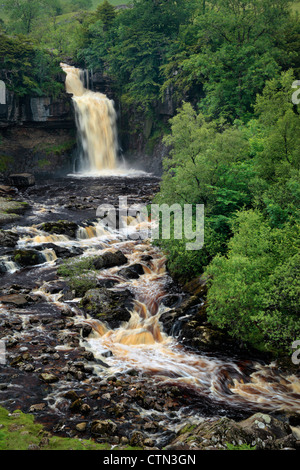 Thornton Kraft auf den Fluß Twiss im Sommer in der Nähe von Ingleton in der Yorkshire Dales of England Stockfoto