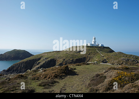 Stolperfallen Head Leuchtturm, Pembrokeshire, Wales, UK Stockfoto