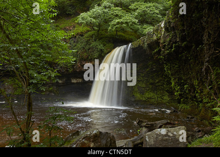 Sgwd Gwladys (Lady fällt) Pontneddfechan, Neath Valley, Wales, UK Stockfoto