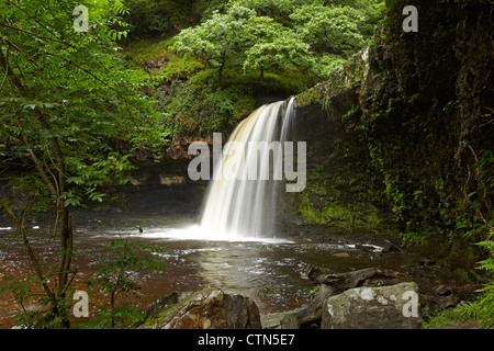 Sgwd Gwladys (Lady fällt) Pontneddfechan, Neath Valley, Wales, UK Stockfoto