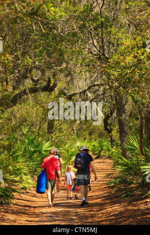 Sea Camp Beach Trail, Cumberland Island National Seashore, Georgia, USA Stockfoto