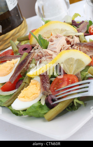 Frisch und traditionell Salade Nicoise oder Nicoise Salat mit Thunfisch, Sardellen, Eiern, grünen Bohnen, Tomaten, Salat, Oliven und trogonoptera Stockfoto
