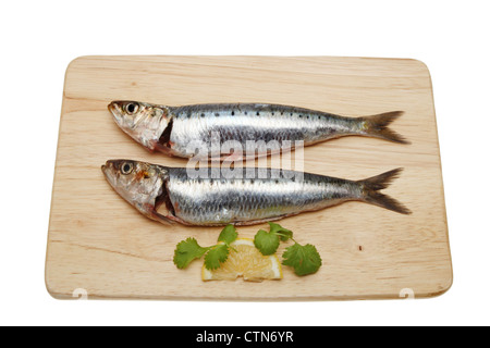 Zwei frische Sardinen auf einem hölzernen Essen Vorbereitung Brett mit Zitrone und Petersilie garnieren, isoliert gegen weiß Stockfoto