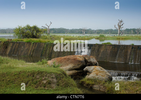 Reservoir und Hochwasserentlastung in Yala Nationalpark in Sri Lanka Stockfoto