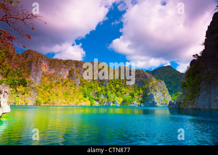 Tropischen Lagune auf dem Weg zum Kayangan See. Coron Insel Stockfoto