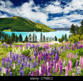 Landschaft mit See und Blumen, Neuseeland Stockfoto