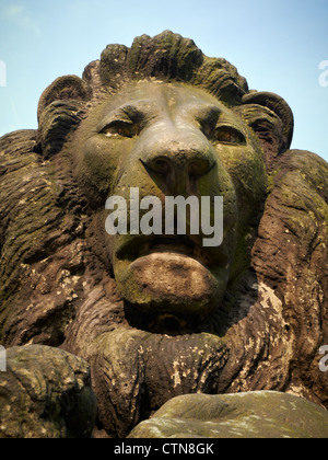 Nahaufnahme des Kopfes Löwenstatue in Liverpool UK Stockfoto