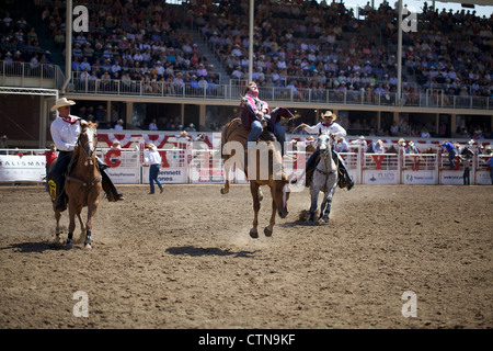 Ein Rodeo klammert sich an sein Pferd bei der Calgary Stampede-Veranstaltung Stockfoto