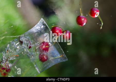 Kirschen in Glasschale gefüllt mit Wasser mit Schwerpunkt grüne Hintergrund. Stockfoto