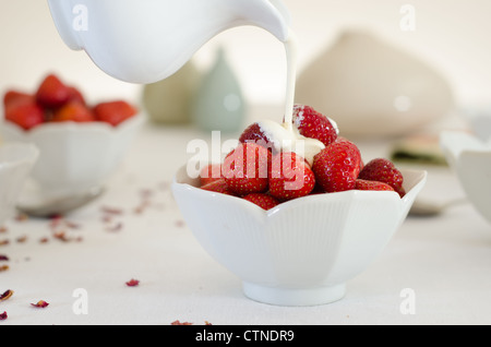 Erdbeeren in eine weiße Schüssel mit frischer Sahne aus einem Krug in eine helle Tischplatte Einstellung über sie gegossen wird. Stockfoto