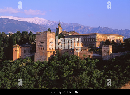 Alhambra Palast Granada Sierra Nevada im Hintergrund Blick vom Mirador de San Nicolas Andalusien Spanien Stockfoto