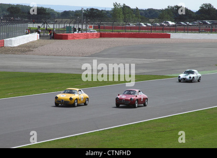 Rennen in RAC Tourist Trophy für historische Fahrzeuge (Pre-63 GT) Silverstone Classic 22. Juli 2012 Stockfoto