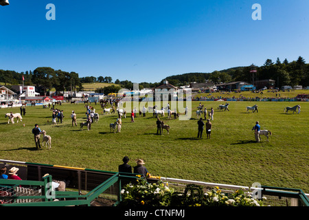 Teilnehmer an der royal Welsh landwirtschaftliche Wales UK 2012 anzeigen Stockfoto