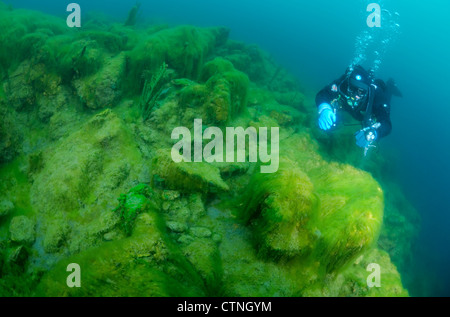 Wasser-Seide, Mermaid es Tressses oder Decke Unkraut (Spirogyra) die ökologische Katastrophe für Baikal-See Stockfoto