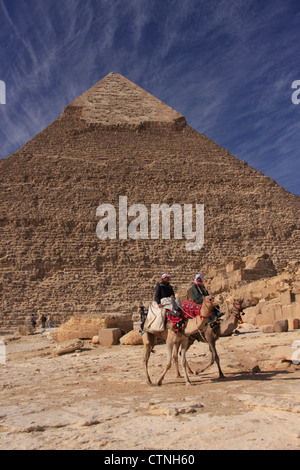 Pyramide von Khafre und Kamelen, Kairo, Ägypten Stockfoto