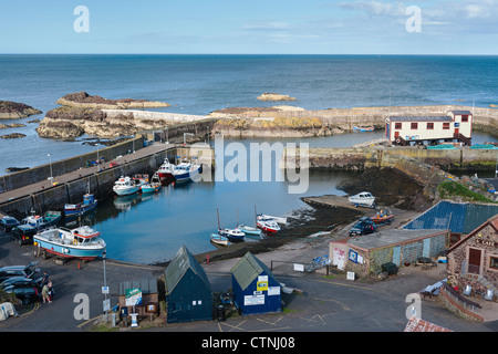 St. Abbs Hafen Stockfoto