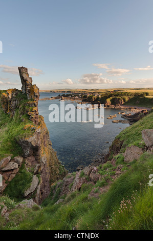 St. Abbs aus weißen Heugh Stockfoto