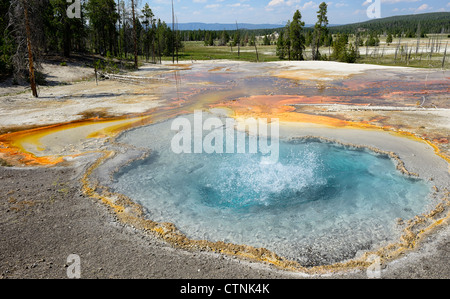 Firehole Frühling, Firehole Lake Drive, Lower Geyser Basin, Yellowstone-Nationalpark, Wyoming, USA Stockfoto