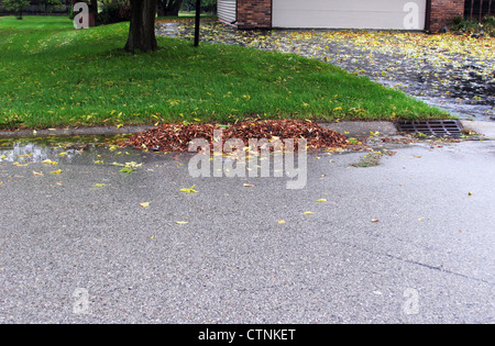 Haufen von Baum Blätter in die Straße blockieren Wasser fließt zu den catchbasin Stockfoto