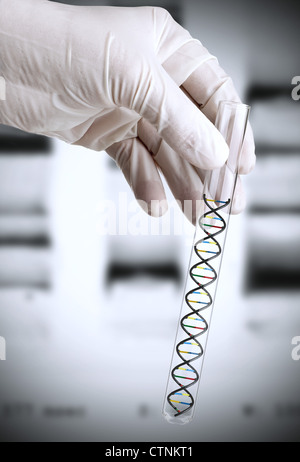 Forschers Hand hält Reagenzglas mit DNA-Modell vor DNA-Transparenz-Folie Stockfoto