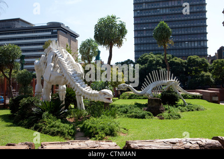 Museum of Natural History, Pretoria, Hauptstadt von Südafrika, Transvaal, Südafrika Stockfoto