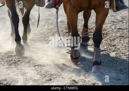 Pferde im Warm up Arena im Tsuu selber jährliche Rodeo & Pow Wow Stockfoto