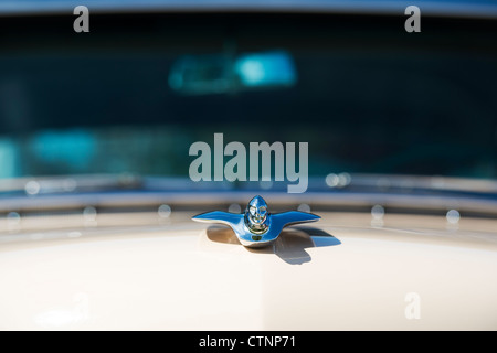 1954 Cadillac Hood Ornament Detail. Amerikanische Oldtimer Stockfoto