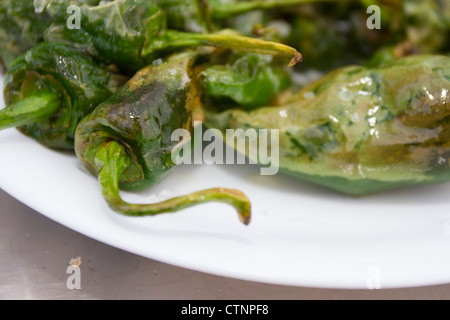 Gegrillte grüne Pimiento Paprika de Padrón. Eine beliebte spanische Tapa. Stockfoto