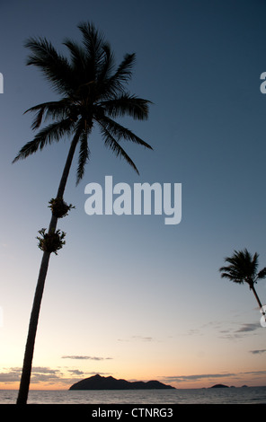 Sonnenaufgang am Wongaling Beach, ein Teil der Mission Beach, mit Palmen, Kasuar Küste, Nord-Queensland, Australien Stockfoto