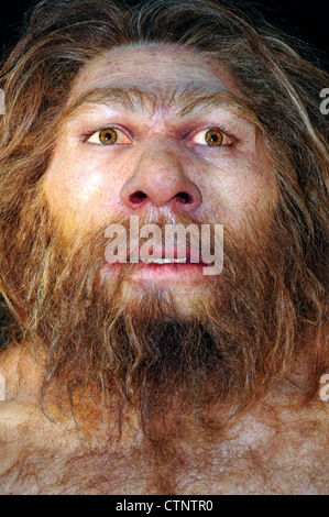 Spanien, Burgos: Reproduktion von einem männlichen Homo Neanderthalensis in Museum der menschlichen Evolution Stockfoto