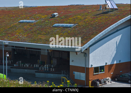 Adnams Brauerei regionale Vertriebszentrum Southwold, Suffolk. Stockfoto