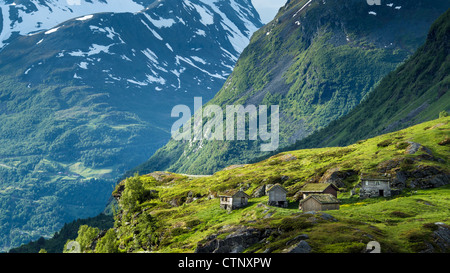 Geiranger Fjord, westlichen Fjorde, Norwegen Stockfoto