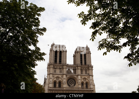 Notre Dame de Paris von der Brücke auf dem Fluss Seine in der Abenddämmerung, in Paris, Frankreich Stockfoto