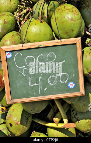 grüne Kokosnuss auf Verkauf in Straße Rio De Janeiro-Brasilien-Südamerika Stockfoto